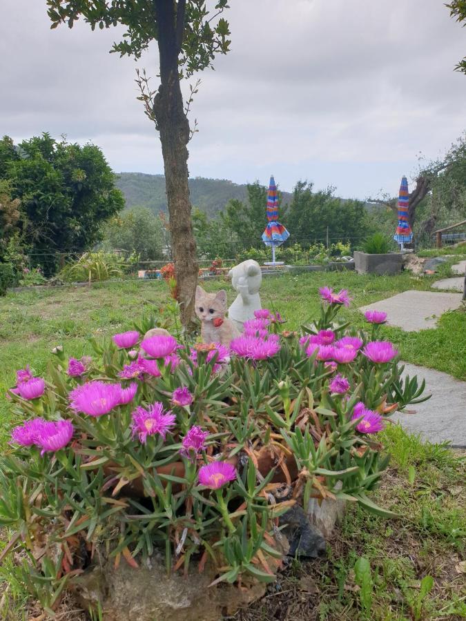 Ca' Olivella Villa Casarza Ligure Dış mekan fotoğraf